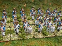 SMALL Napoleonic 4   2018  French Line